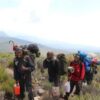 Mount Kilimanjaro Marangu Route2