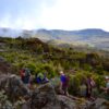 Mount Kilimanjaro Rongai Route7