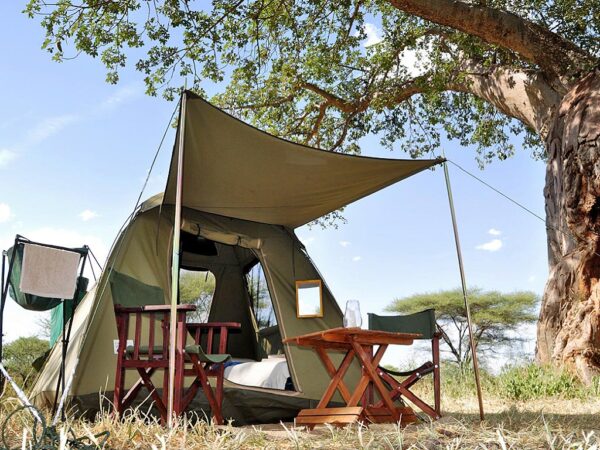 Adventure Camping Safaris in Tanzania