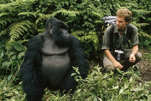 gombe-national-park